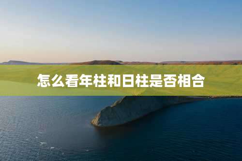 怎么看年柱和日柱是否相合