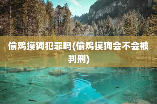 偷鸡摸狗犯罪吗(偷鸡摸狗会不会被判刑)