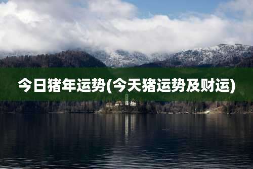 今日猪年运势(今天猪运势及财运)