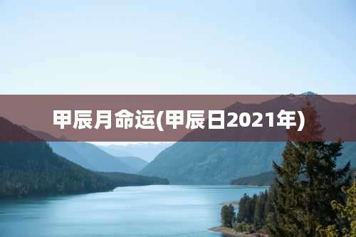 甲辰月命运(甲辰日2021年)