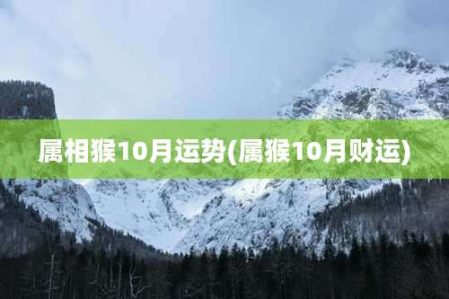 属相猴10月运势(属猴10月财运)