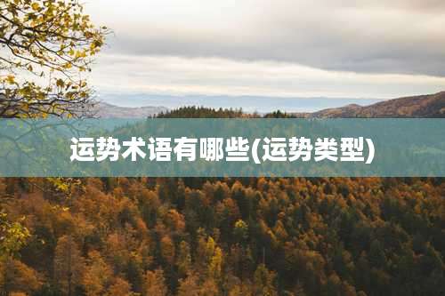 运势术语有哪些(运势类型)