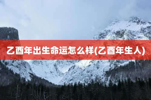 乙酉年出生命运怎么样(乙酉年生人)