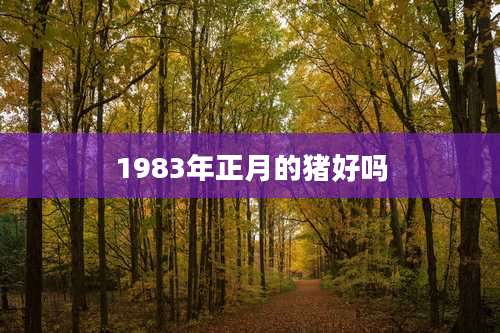 1983年正月的猪好吗