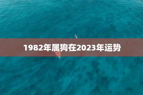 1982年属狗在2023年运势