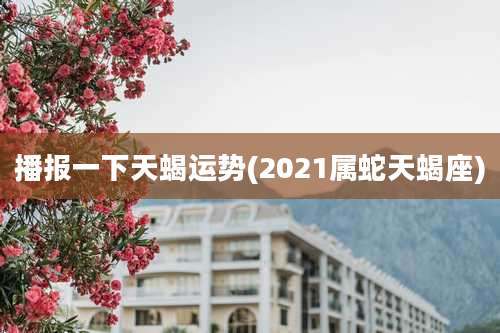 播报一下天蝎运势(2021属蛇天蝎座)