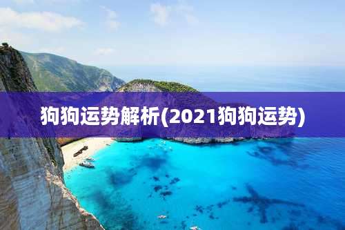 狗狗运势解析(2021狗狗运势)