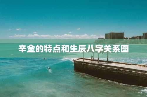 辛金的特点和生辰八字关系图