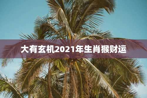 大有玄机2021年生肖猴财运