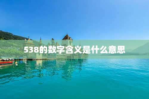 538的数字含义是什么意思