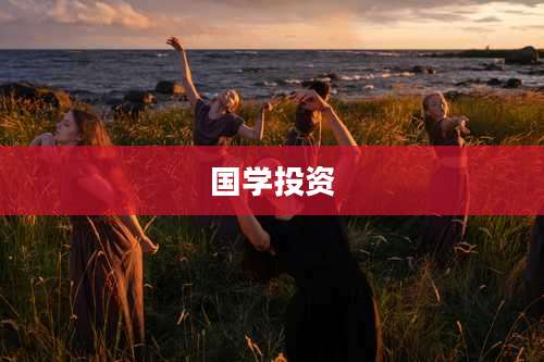 国学投资
