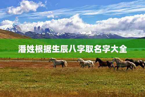 潘姓根据生辰八字取名字大全