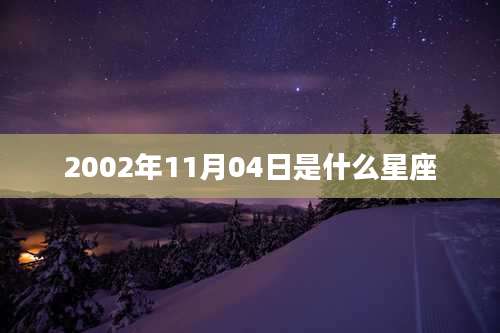2002年11月04日是什么星座