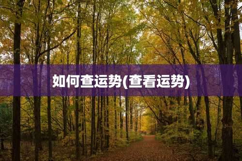 如何查运势(查看运势)