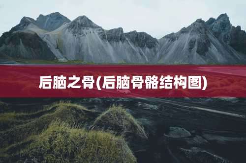后脑之骨(后脑骨骼结构图)