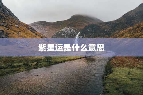 紫星运是什么意思
