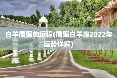 白羊属猴的运程(属猴白羊座2022年运势详解)