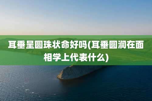 耳垂呈圆珠状命好吗(耳垂圆润在面相学上代表什么)