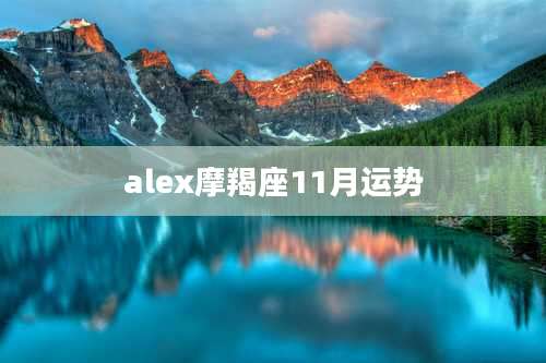 alex摩羯座11月运势