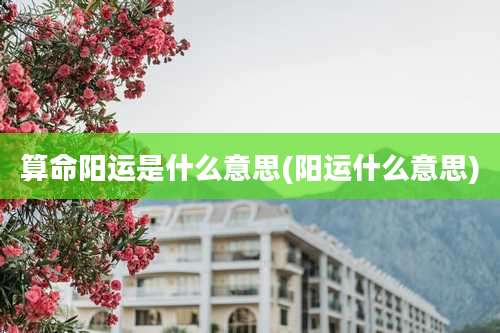 算命阳运是什么意思(阳运什么意思)