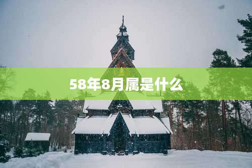 58年8月属是什么
