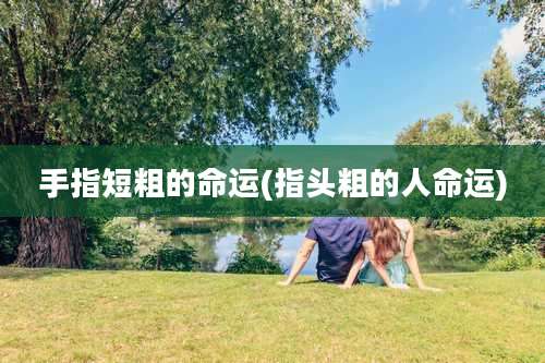 手指短粗的命运(指头粗的人命运)