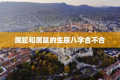 属蛇和属鼠的生辰八字合不合