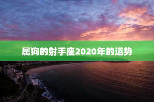 属狗的射手座2020年的运势