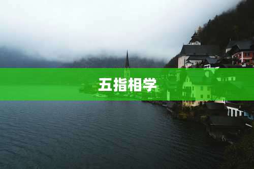 五指相学