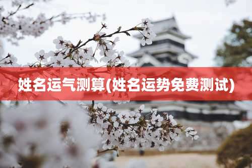 姓名运气测算(姓名运势免费测试)
