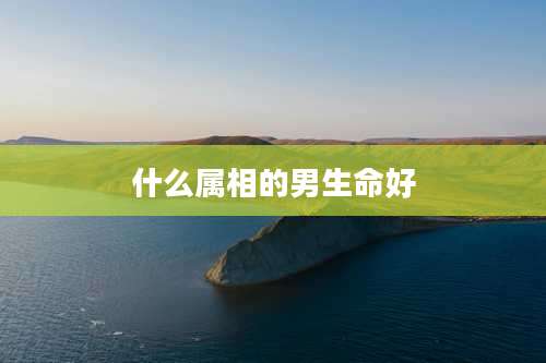 什么属相的男生命好
