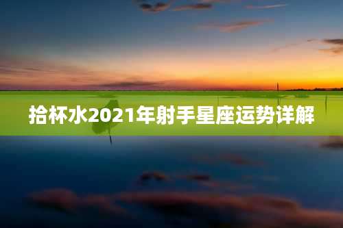 拾杯水2021年射手星座运势详解