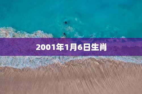2001年1月6日生肖