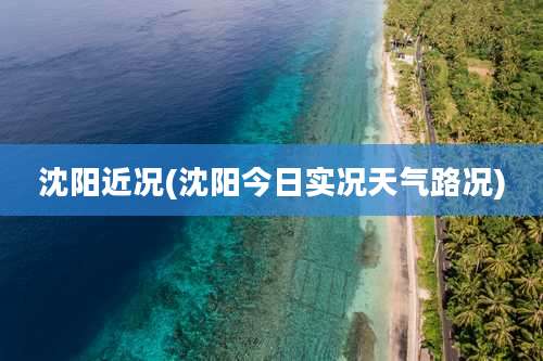 沈阳近况(沈阳今日实况天气路况)
