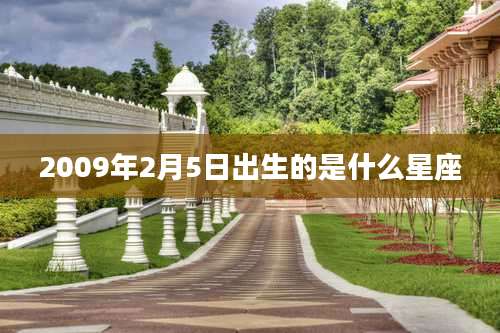 2009年2月5日出生的是什么星座