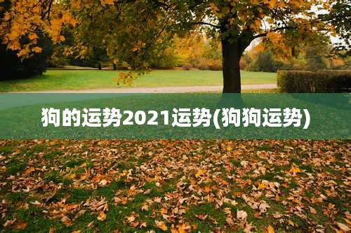 狗的运势2021运势(狗狗运势)