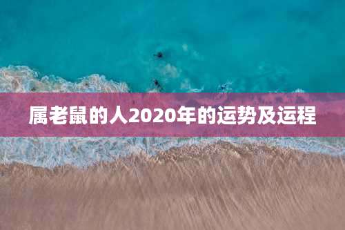 属老鼠的人2020年的运势及运程