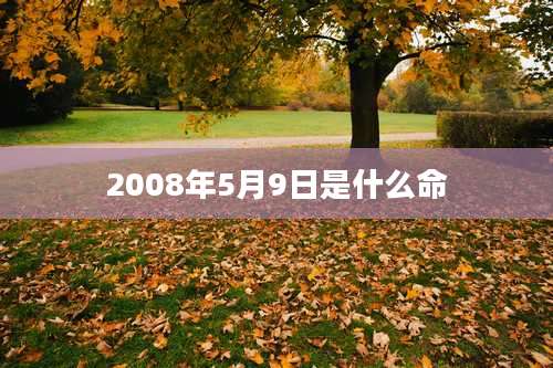 2008年5月9日是什么命