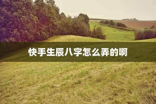 快手生辰八字怎么弄的啊