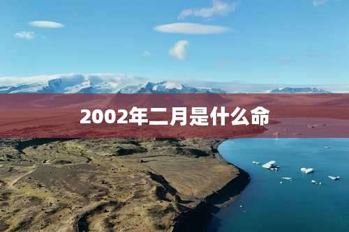 2002年二月是什么命