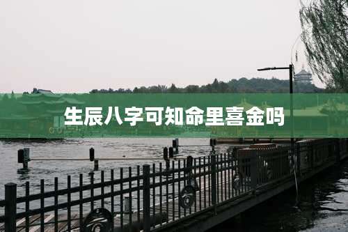 生辰八字可知命里喜金吗
