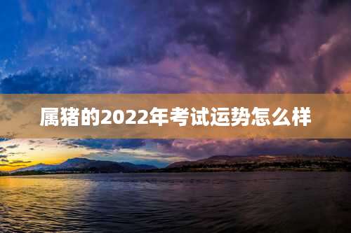 属猪的2022年考试运势怎么样