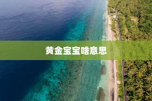 黄金宝宝啥意思