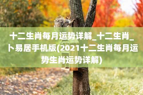 十二生肖每月运势详解_十二生肖_卜易居手机版(2021十二生肖每月运势生肖运势详解)