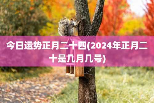 今日运势正月二十四(2024年正月二十是几月几号)