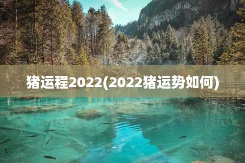 猪运程2022(2022猪运势如何)