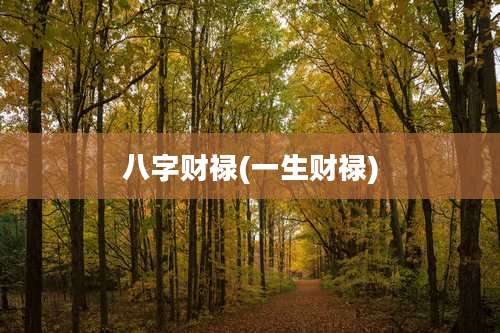 八字财禄(一生财禄)