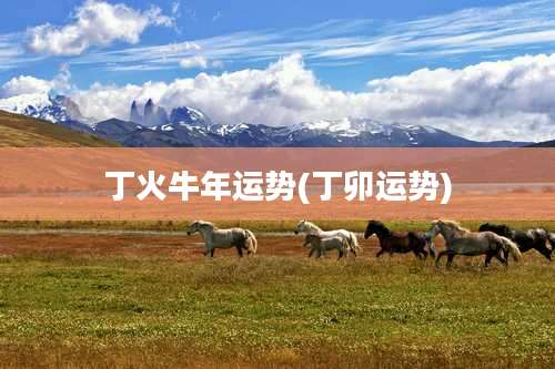 丁火牛年运势(丁卯运势)