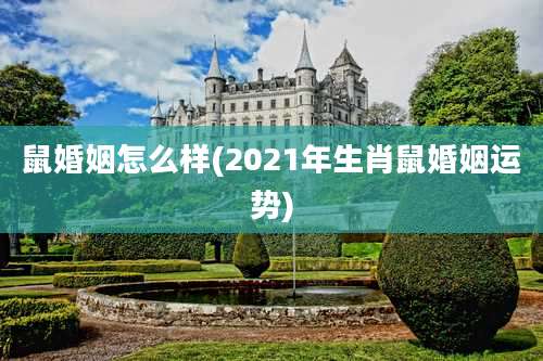 鼠婚姻怎么样(2021年生肖鼠婚姻运势)