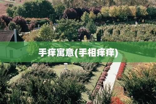 手痒寓意(手相痒痒)